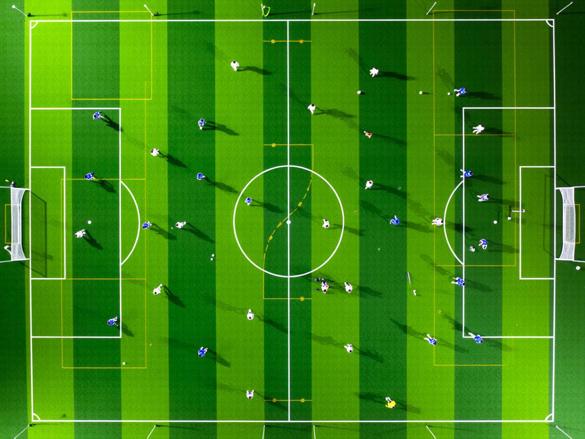 九游官网入口下载-中澳混合泳战术布局解析，中澳混血是什么意思
