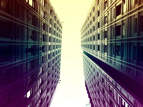 九游官网入口下载-埃及队未来：借鉴世界先进经验，完善本土发展体系，埃及国家队阵容状况  第2张